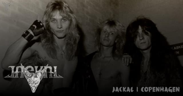 Jackal