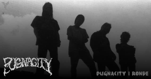 Pugnacity